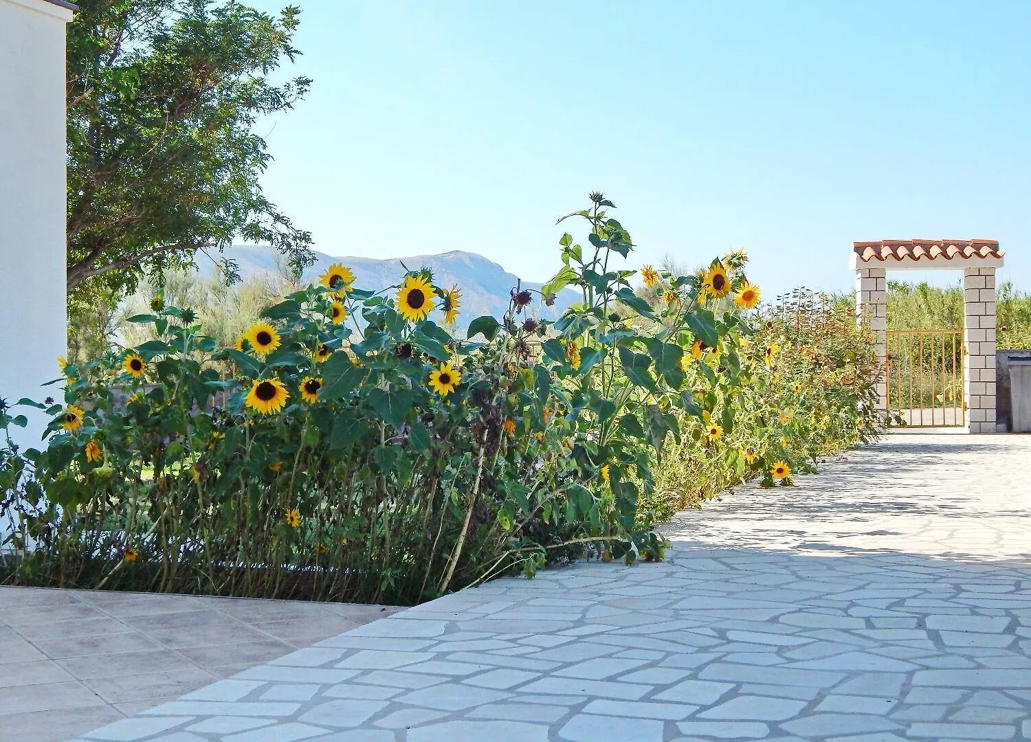 Apartments Luce Pag Town Κροατία
